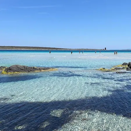 I Pescatori Di Stelle-l13 La Superba Stintino